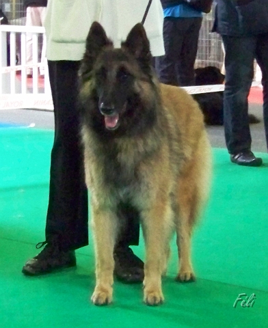 n°98 Gaia of the smart spirit 5446.JPG